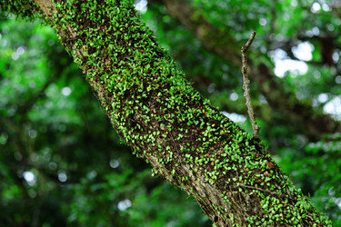 Similar image 6091992