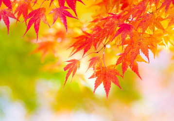 Similar image 6092051