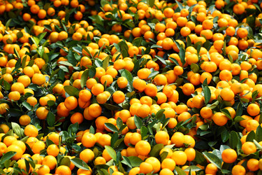 Similar image 6092114