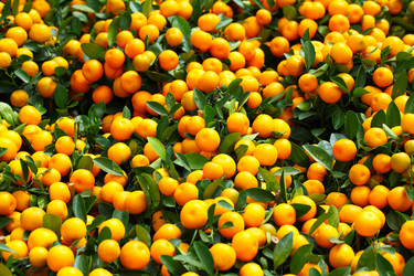 Similar image 6092135