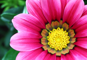 Similar image 6092294