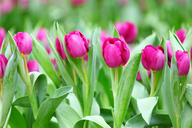 Similar image 6092297