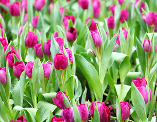 Similar image 6092322