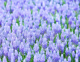 Similar image 6092339