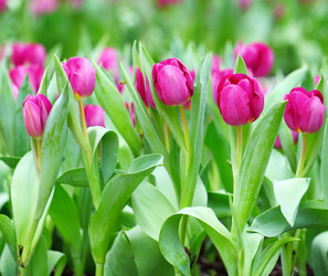 Similar image 6092352