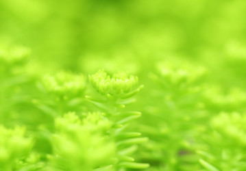 Similar image 6092358