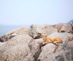 Similar image 6092400