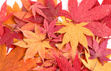 Similar image 6092435