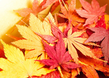 Similar image 6092438