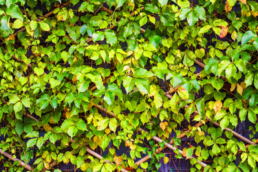 Similar image 6092958