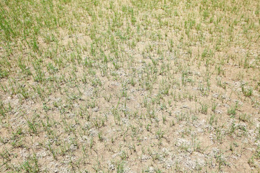 Similar image 6093143