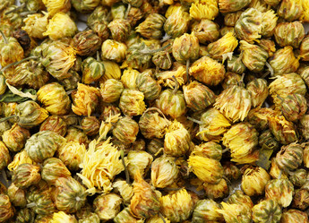 Similar image 6093457