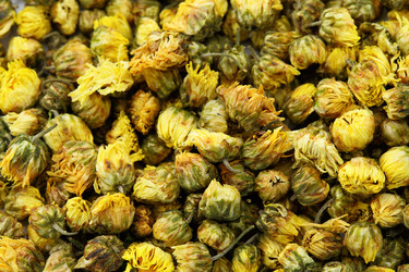 Similar image 6093486