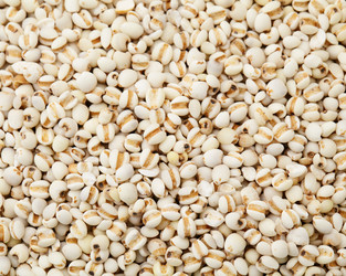 Similar image 6093502