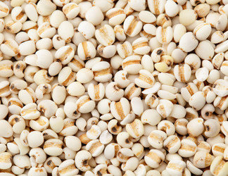 Similar image 6093525