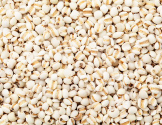 Similar image 6093528