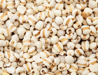 Similar image 6093529