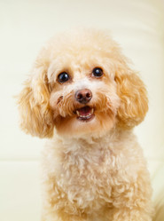 Similar image 6093547