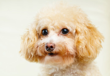 Similar image 6093552