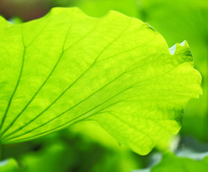 Similar image 6093912