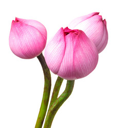 Similar image 6093941