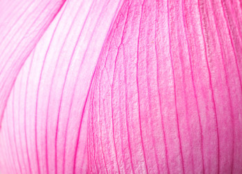 Similar image 6093989