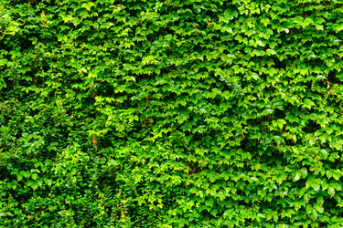 Similar image 6094117