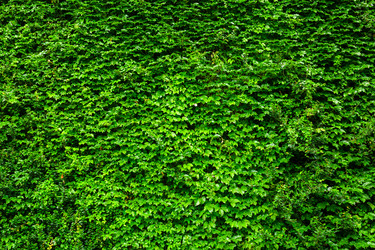 Similar image 6094152