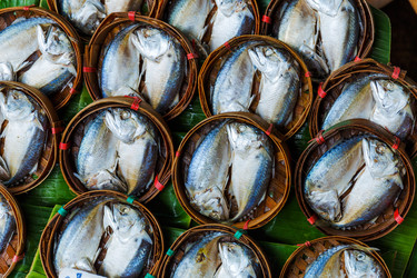 Similar image 6094189