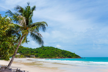 Similar image 6094235