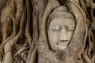 Similar image 6094533