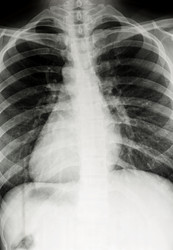 Similar image 6094729