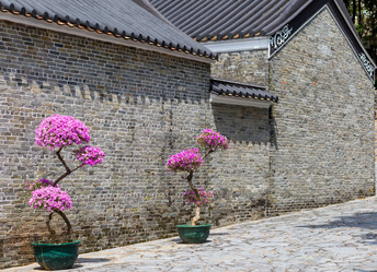 Similar image 6094946