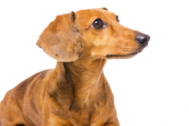 Similar image 6095000