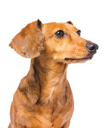 Similar image 6095006