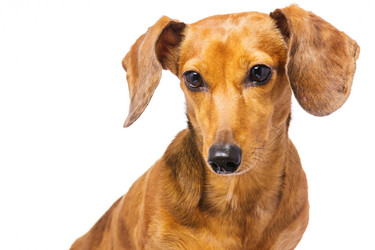 Similar image 6095009