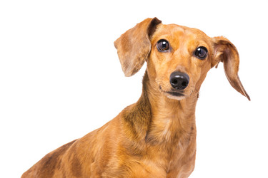 Similar image 6095016