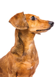 Similar image 6095017