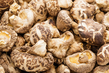 Similar image 6095022