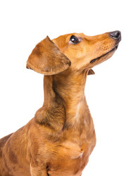 Similar image 6095024