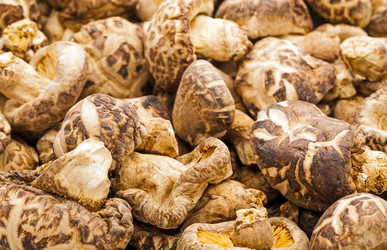 Similar image 6095031