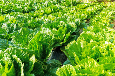 Similar image 6095201