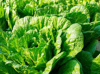 Similar image 6095214