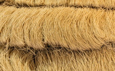 Similar image 6095242