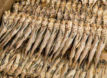 Similar image 6095245