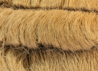 Similar image 6095272