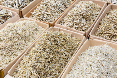 Similar image 6095279