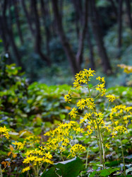 Similar image 6095295