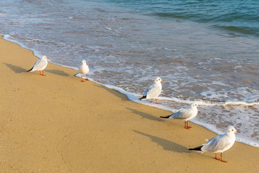 Similar image 6095307