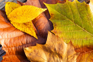 Similar image 6095384